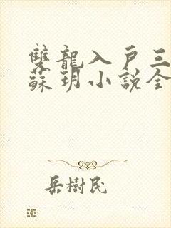 双龙入户三人行苏玥小说全文阅读