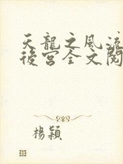 天龙之风流猎艳后宫全文阅读