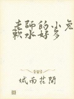 老师的小兔子好软水好多