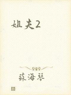 姐夫2