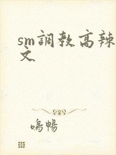 sm调教高辣h文