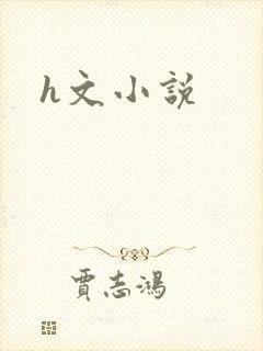 h文小说