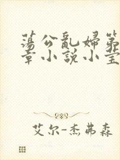 荡公乱妇第51章小说小莹