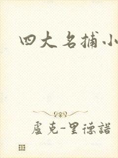四大名捕小说