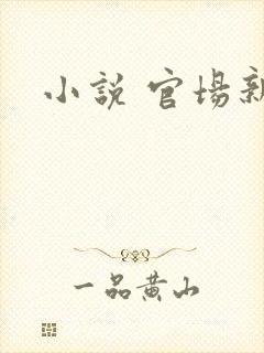 小说 官场新贵