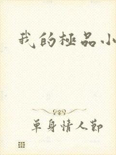 我的极品小姨