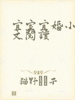 宜室宜婚小说全文阅读