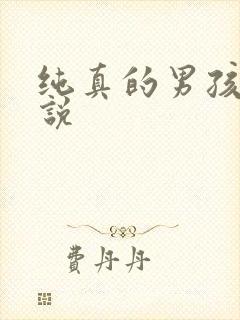 纯真的男孩子小说