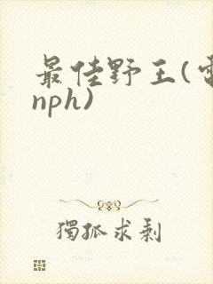 最佳野王(电竞nph)