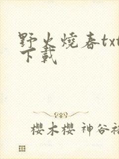 野火烧春txt下载