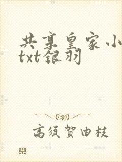 共享皇家小公主txt银羽