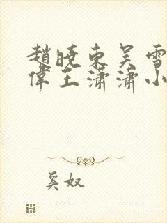 赵晓东吴雪晴郑伟王潇潇小说名字