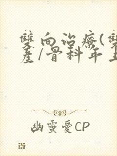 双向治疗(双/产/骨科年上)