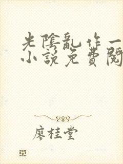 光阴乱作一团的小说免费阅读