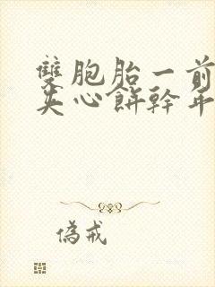 双胞胎一前一后夹心饼干年下