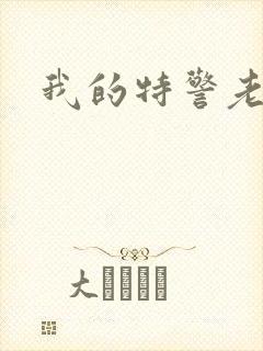 我的特警老婆