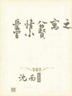 爱情公寓之极品曾小贤