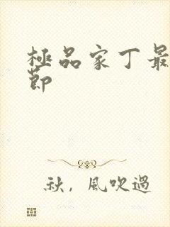 极品家丁最新章节