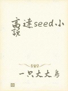 高达seed小说