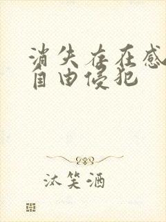 消失存在感消失自由侵犯