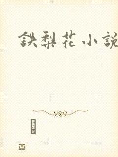铁梨花小说