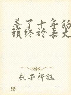 养了十年的小丫头终于长大了