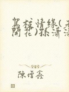 驾校情缘(老树开花)孙潇潇笔趣阁