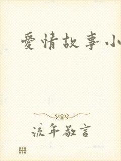 爱情故事小说
