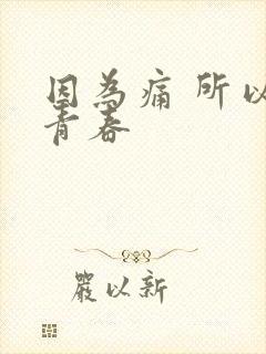 因为痛 所以叫青春