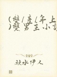 (双/产/年上)双男主小说