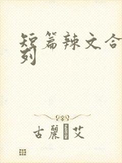 短篇辣文合集系列