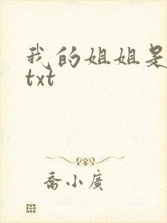 我的姐姐是美女txt