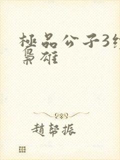 极品公子3续世枭雄