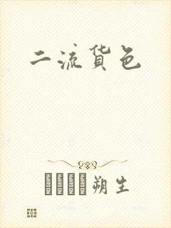二流货色
