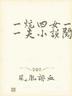 一炕四女一共侍一夫小说阅读