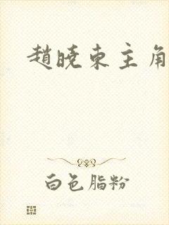 赵晓东主角小说