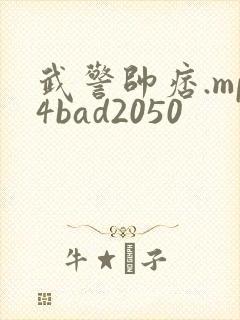武警帅痞.mp4bad2050