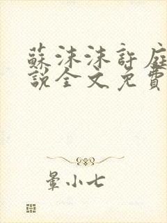 苏沫沫许庭川小说全文免费阅读