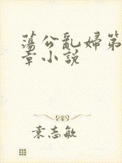 荡公乱妇第51章小说