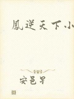 凤逆天下小说