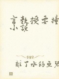 言教授要撞坏了小说