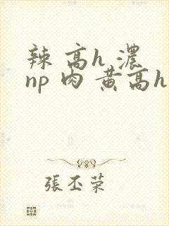 辣 高h 浓 np 肉 黄高h