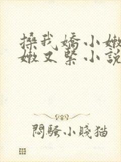 搡我娇小嫩苞又嫩又紧小说