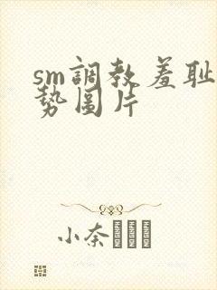 sm调教羞耻姿势图片