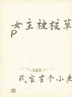 女主被校草们NP