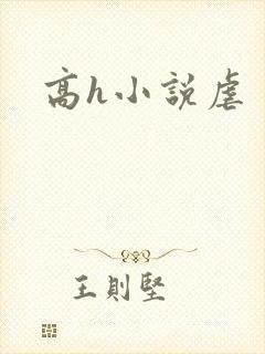 高h小说虐