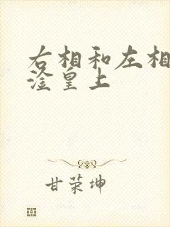 右相和左相一起淦皇上
