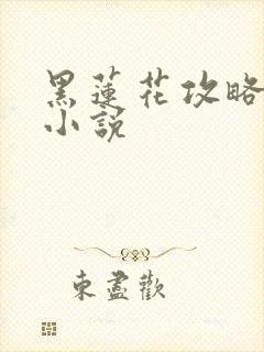 黑莲花攻略手册小说