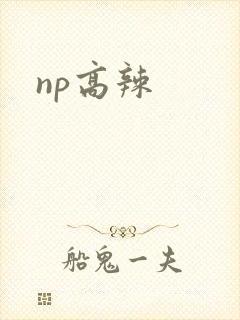 np高辣