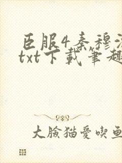 臣服4秦穆沈流txt下载笔趣阁